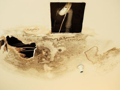 Professional water damage restoration near me services in Charleston